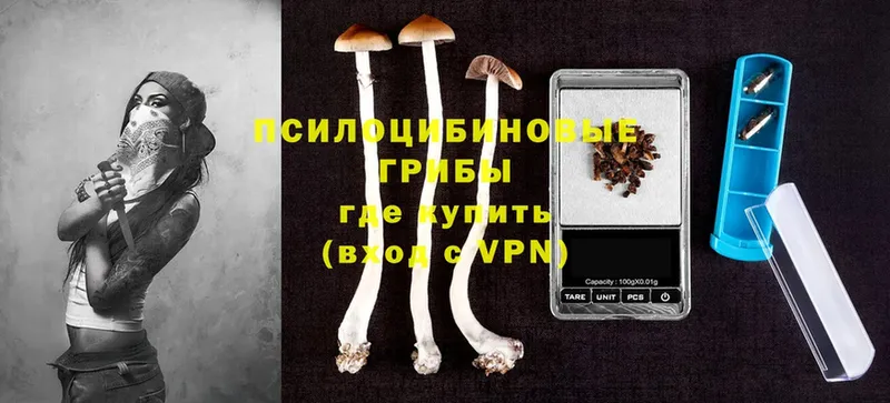 hydra вход  Мирный  Галлюциногенные грибы Psilocybine cubensis  наркотики 